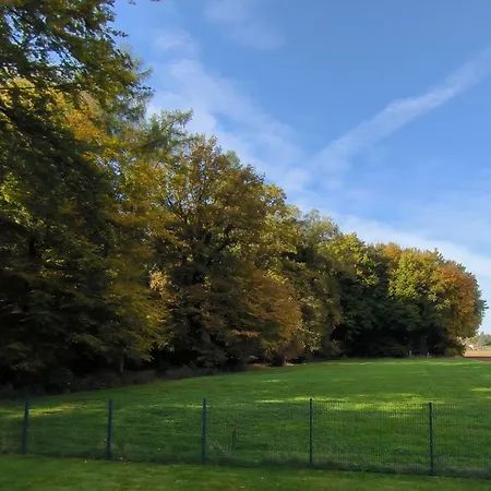 Daire Waldgefluester